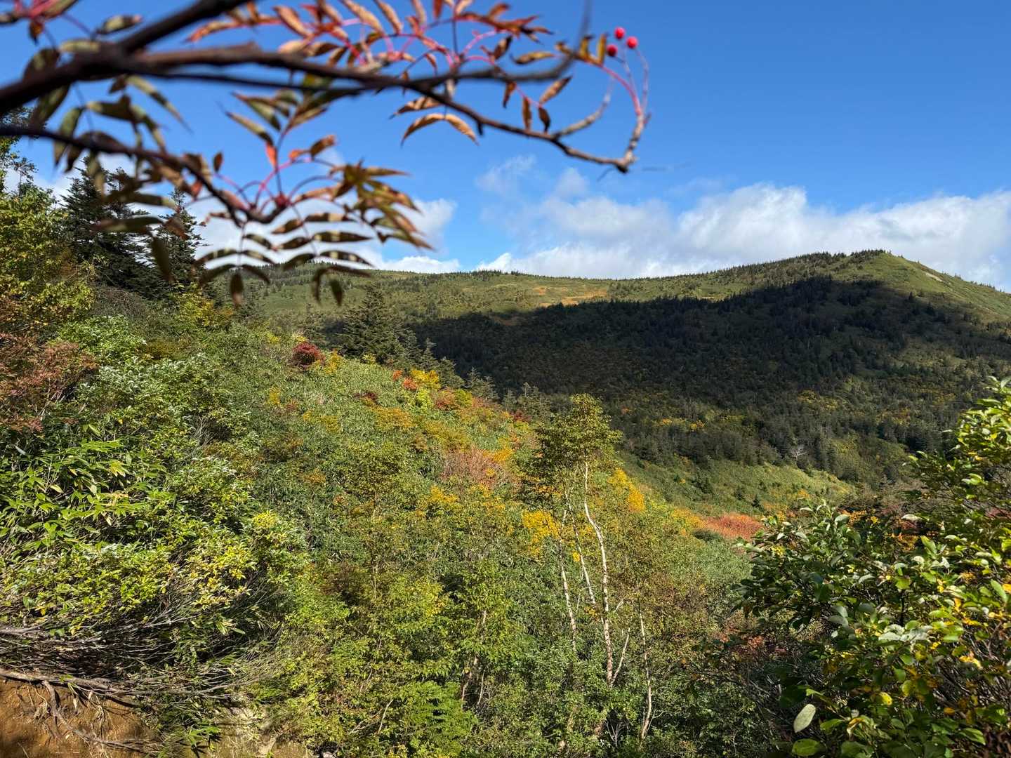 南八甲田登山道入口-地獄峠-櫛ヶ峰入口-櫛ヶ峯 往復コースの写真