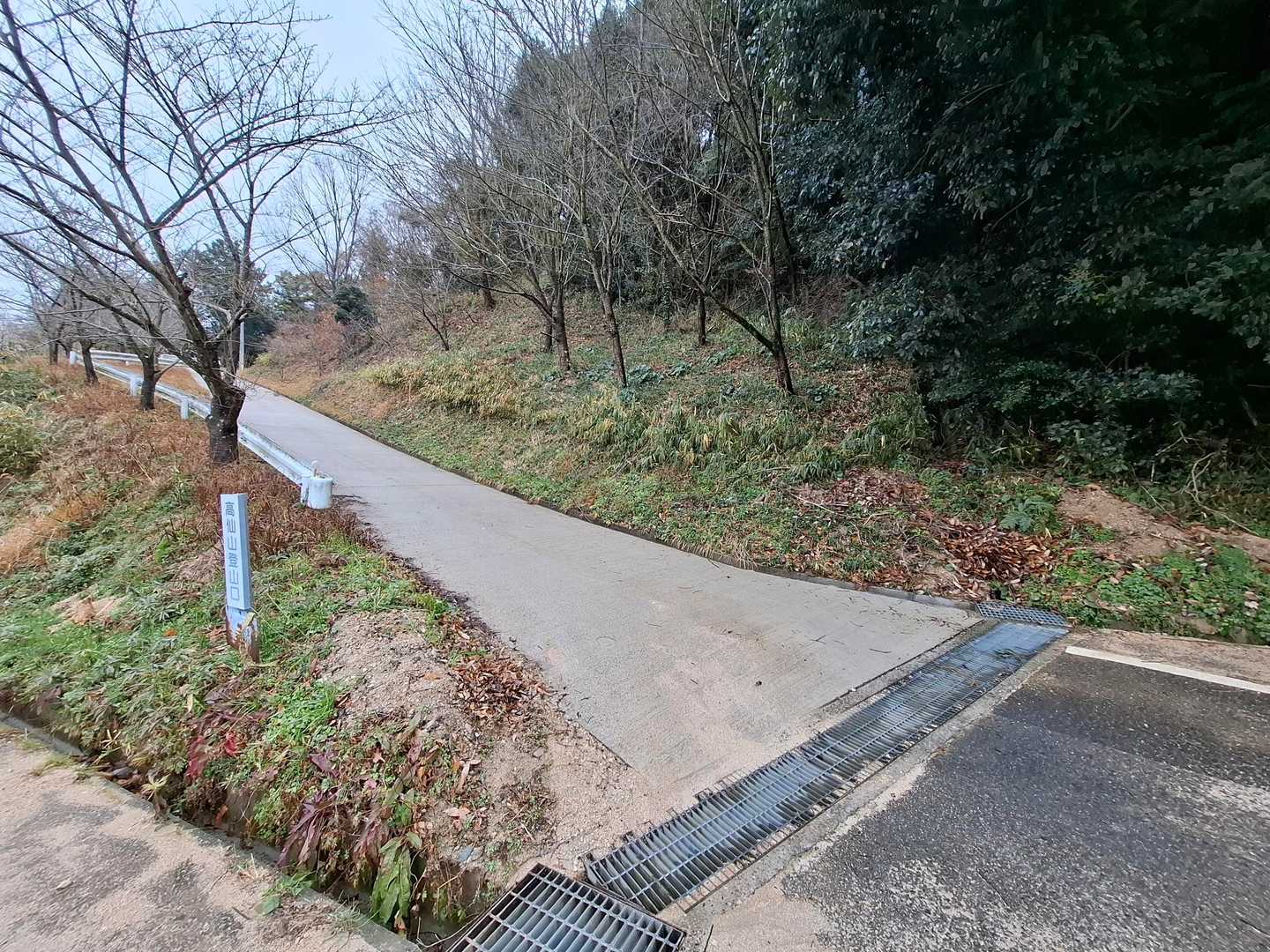 ここから歩きますよー