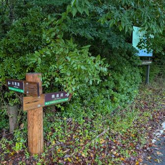 一旦ロード歩き
民宿がある通りを歩きます