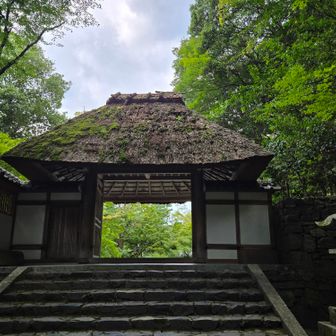 法然院山門💚
少しだけお邪魔いたします