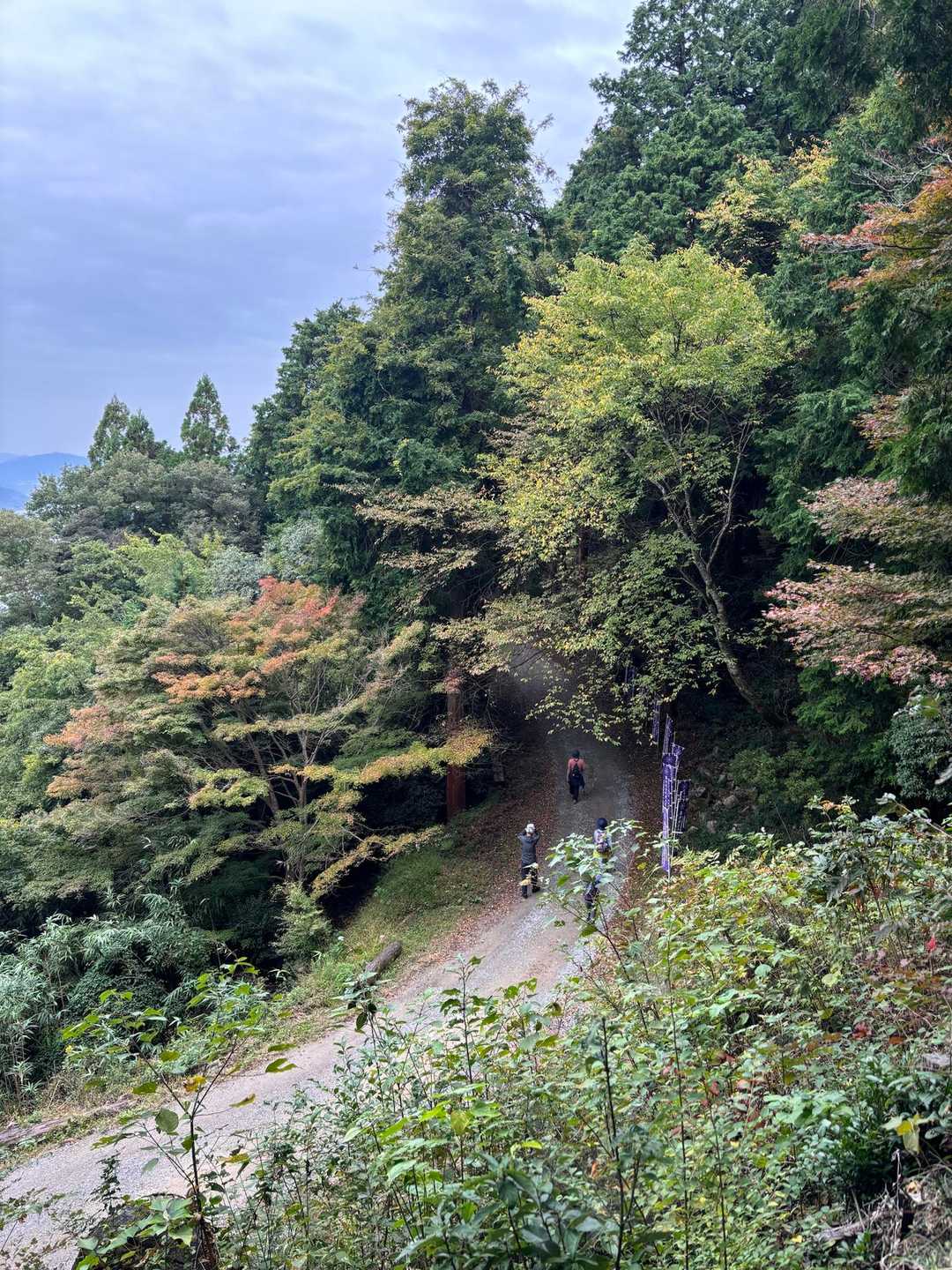 アプローチは車道歩き