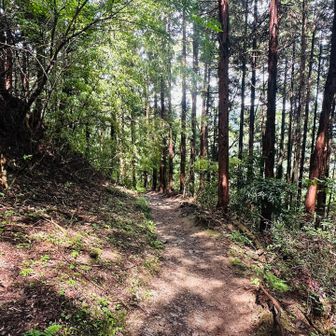 小仏バス停方面に下る人はまばら🏃‍➡️