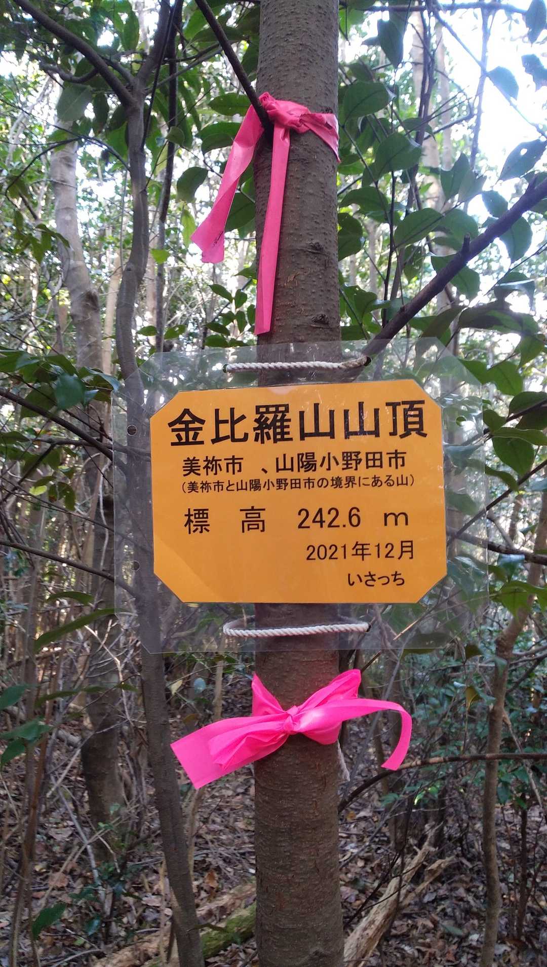 新山頂表示。