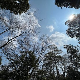 景色は良くないので
山頂のお空👀