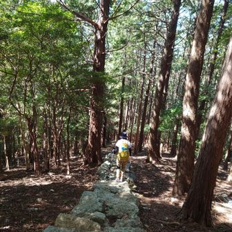 膝は大丈夫か〜🥴