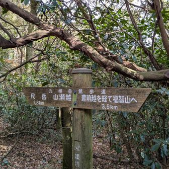 走れるところは頑張って走る