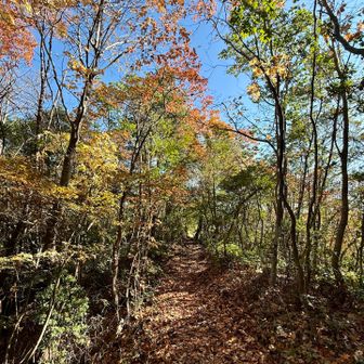 ☀️風もなくてポカポカ😊 るんるん🎶