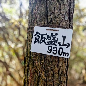 北峰から50分かけて飯盛山🤭