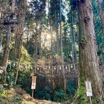 かびれ神宮と御岩山頂への登山道に入ります