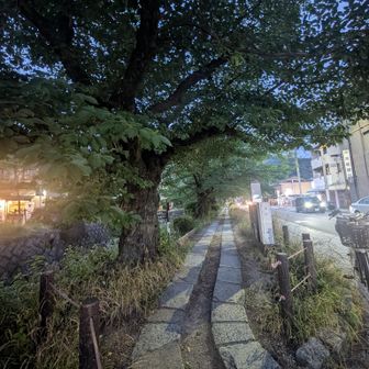 哲学の道