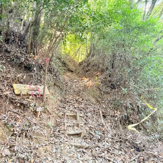やっと登山口！