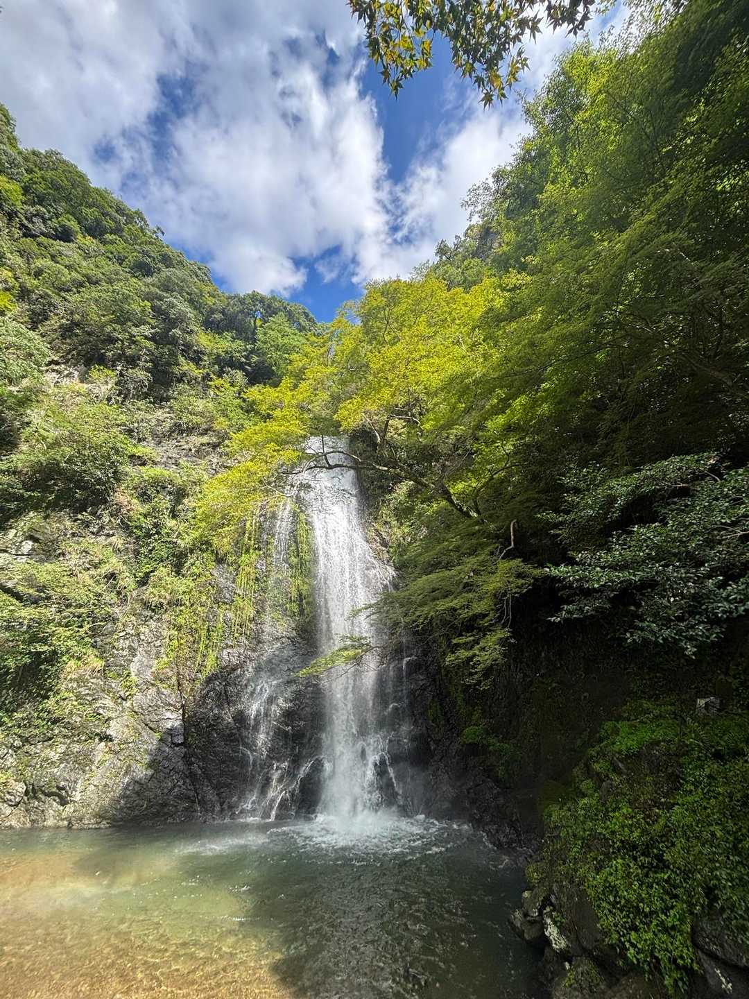 水量も多くて迫力があります。