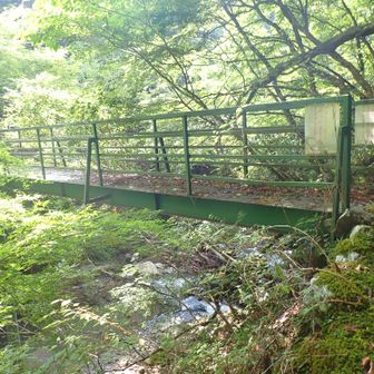 この橋を渡って大又林道