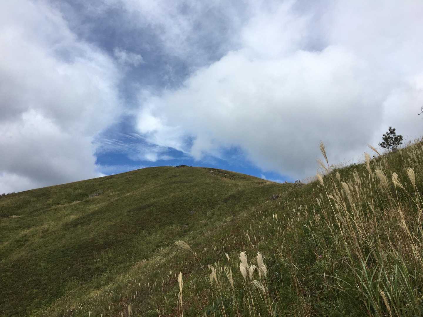 山焼きで維持される草原の山はきれいだね☺️