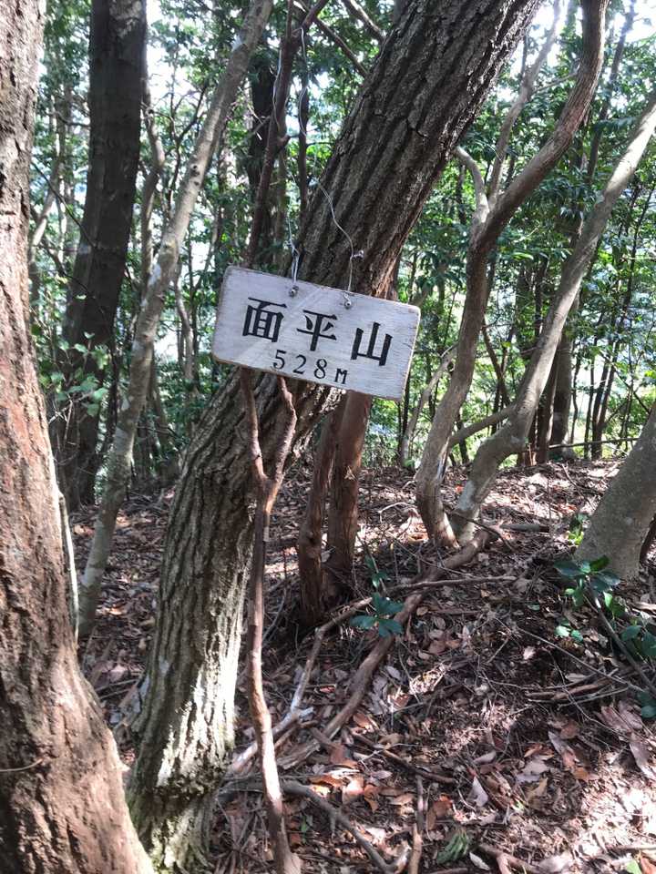 面平山の山頂に到着。