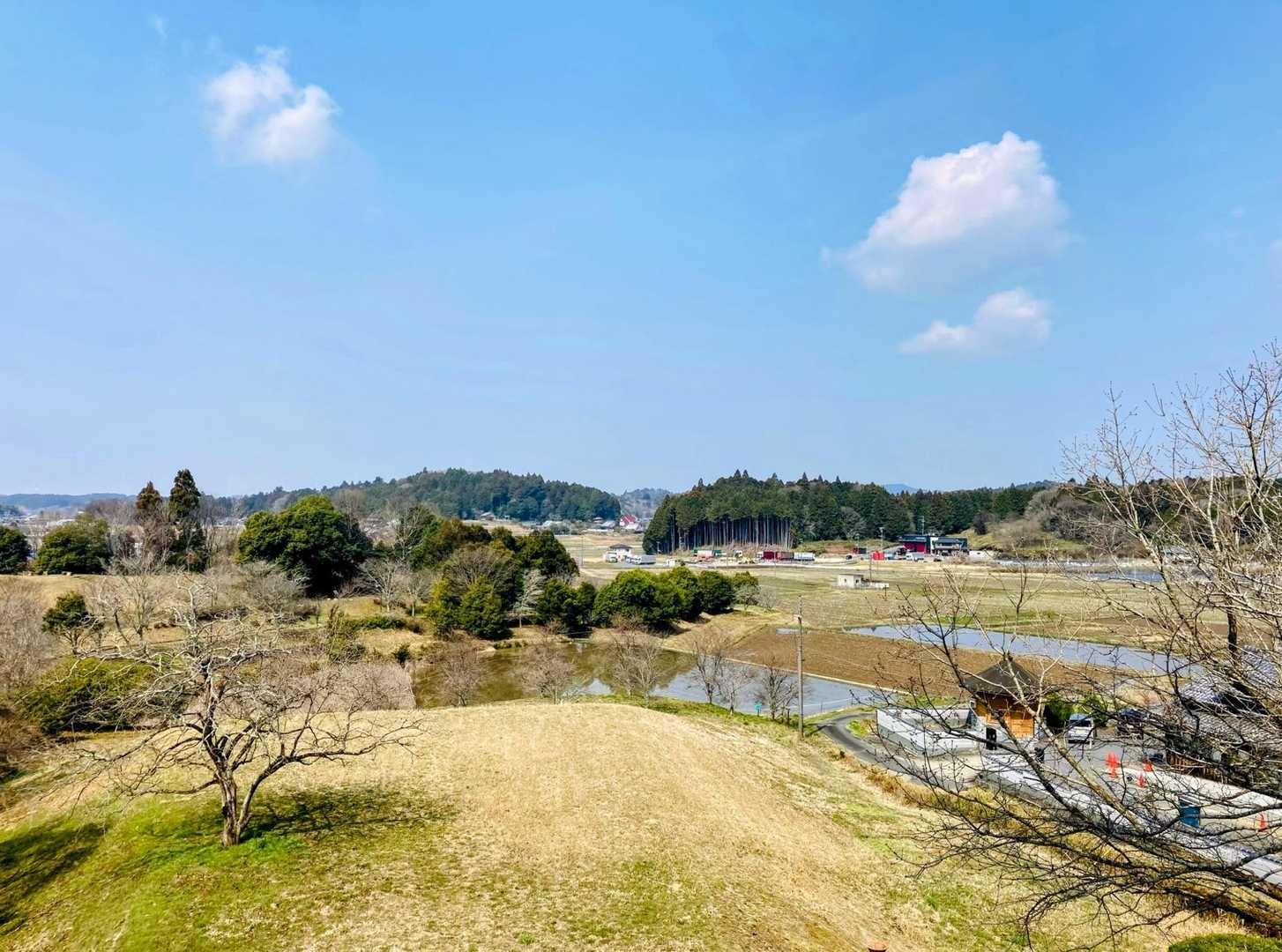 のんびりした風景✨