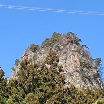 これが本日のメインディッシュ🏔️