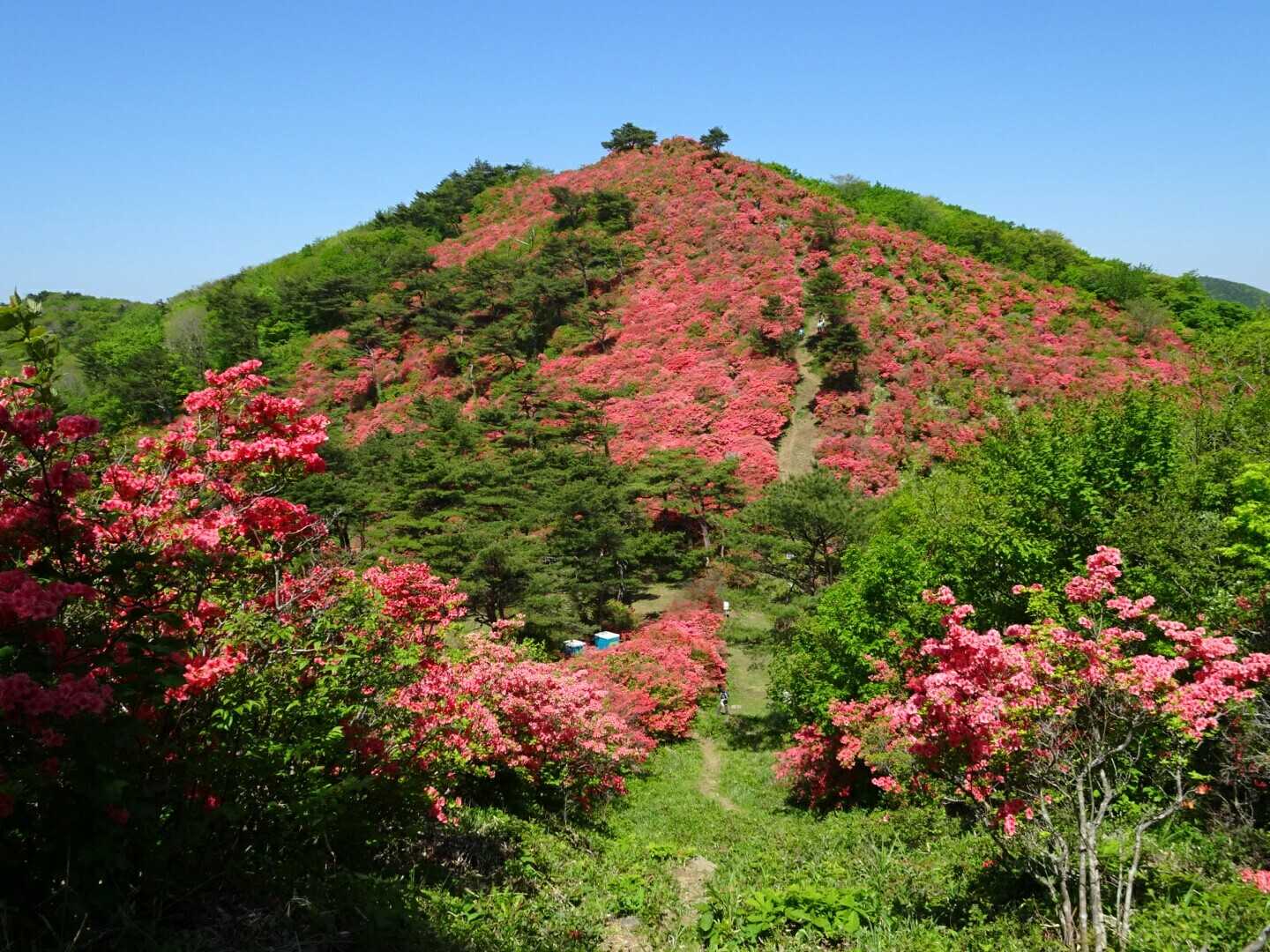 徳仙丈山の写真