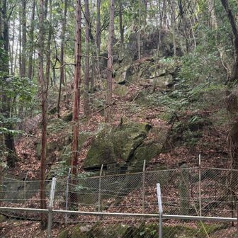 そして球状花崗岩🪨