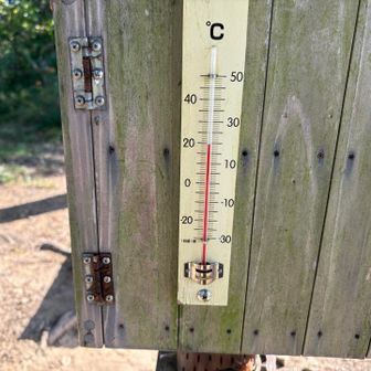 15:15 で20℃  風がある
