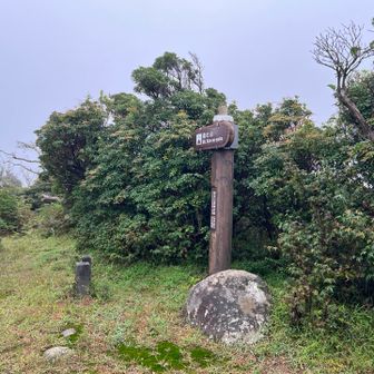 魂の山山頂はこんな感じ
あまり広くないけどベンチ2つあります
晴れていれば景色よさそう😊