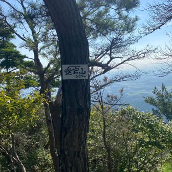 愛宕山登頂✌️