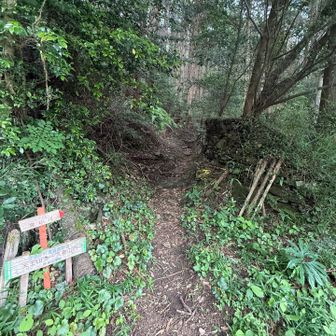 再び天王山経由で喜桜山に登り返します💨