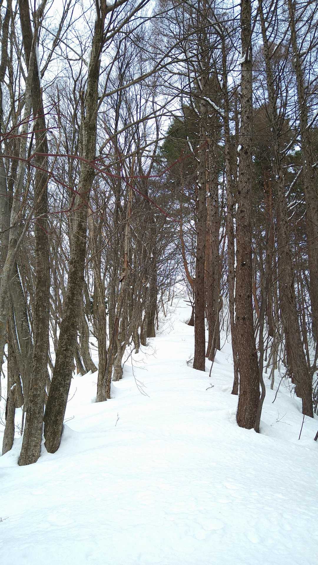 山頂すぐそこ