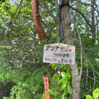 アンテナ山🚩