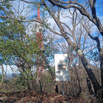 こっちは岐阜放送の電波塔みたい