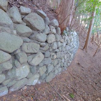 石垣がこんなに立派に残っています‼️

この右手に歩きやすい道があったので、いい登り口があるようです。