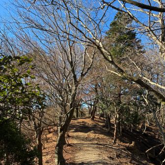 葉っぱの落ちた冬仕様の尾根道✨✨
もう少しで山頂だー
٩(^‿^)۶