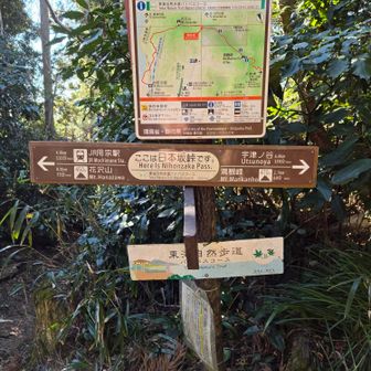 日本坂峠で右へ