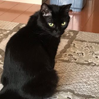 喜多方ラーメンマン