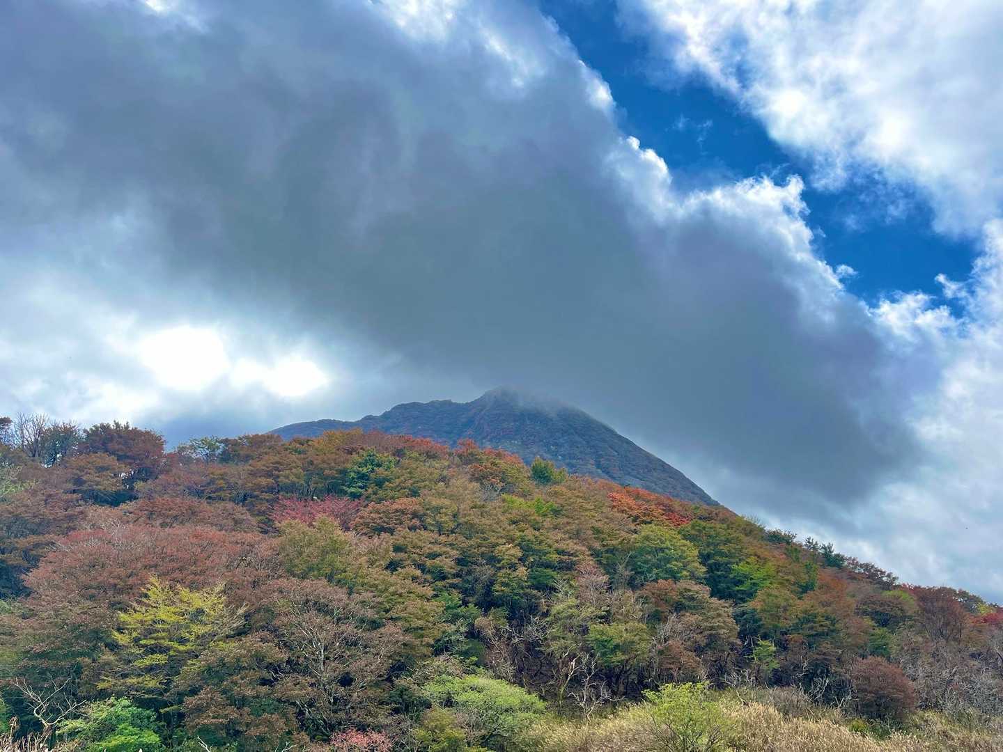 くじゅう登山口-雨ヶ池越-諏蛾守越-三俣山-指山自然観察路 周回コースの写真