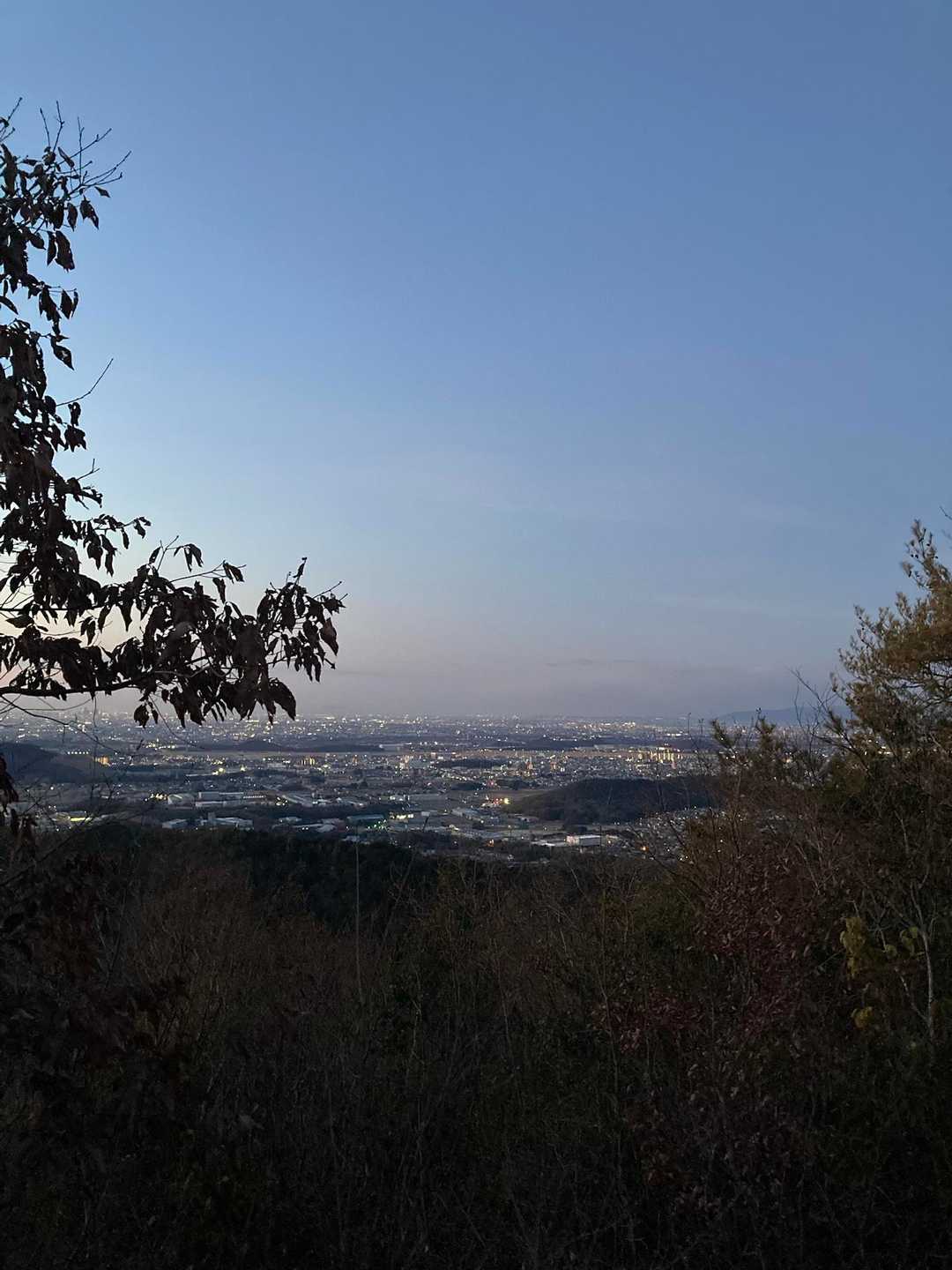 山頂からの景色