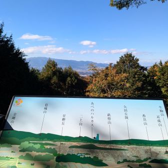 ど真ん中にあべのハルカス(笑)