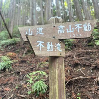 山道というあまりにもザックリした標識