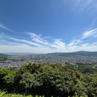 『あの👴爺さんに頼もー！
誰が頼むかジャンケンね✊✌️✋』
そんな声が、漏れ聞こえてきた🤣