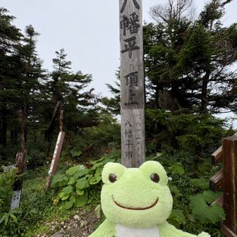 こちらの山頂碑でも🐸
