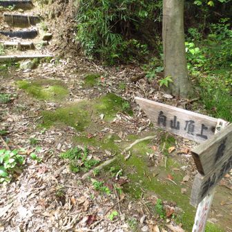 分岐