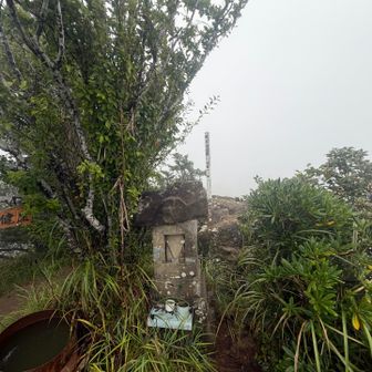 通ってしまったので山頂へ