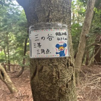 鈴鹿300座なんです☺️
