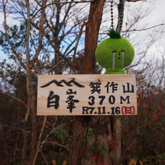 箕作山登頂
この前に行った北箕作山（清水山）への道は、半分以上ロープ場でなかなかハードだった
みのさく山
ぢゃなくみつくり山だそうだ