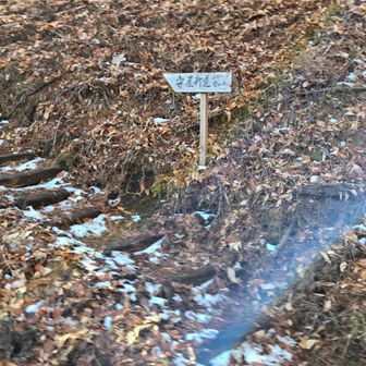 ここに降りてきた。