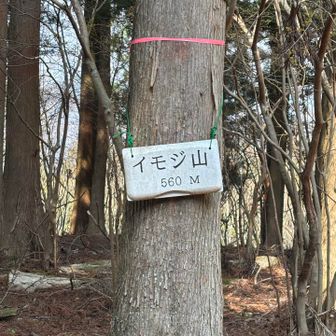 見つけられずウロウロ💦