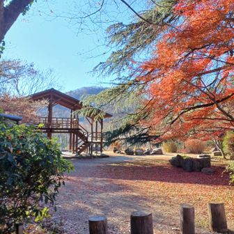 展望台
（ベンチ＆🚻あり）

ここで今日初めて
人とすれ違いました❗

皆さん熊鈴🔔装着してましたが…
今日に限って車に忘れてしまい😥

代わりにスマホでMUSIC🔛🎵
