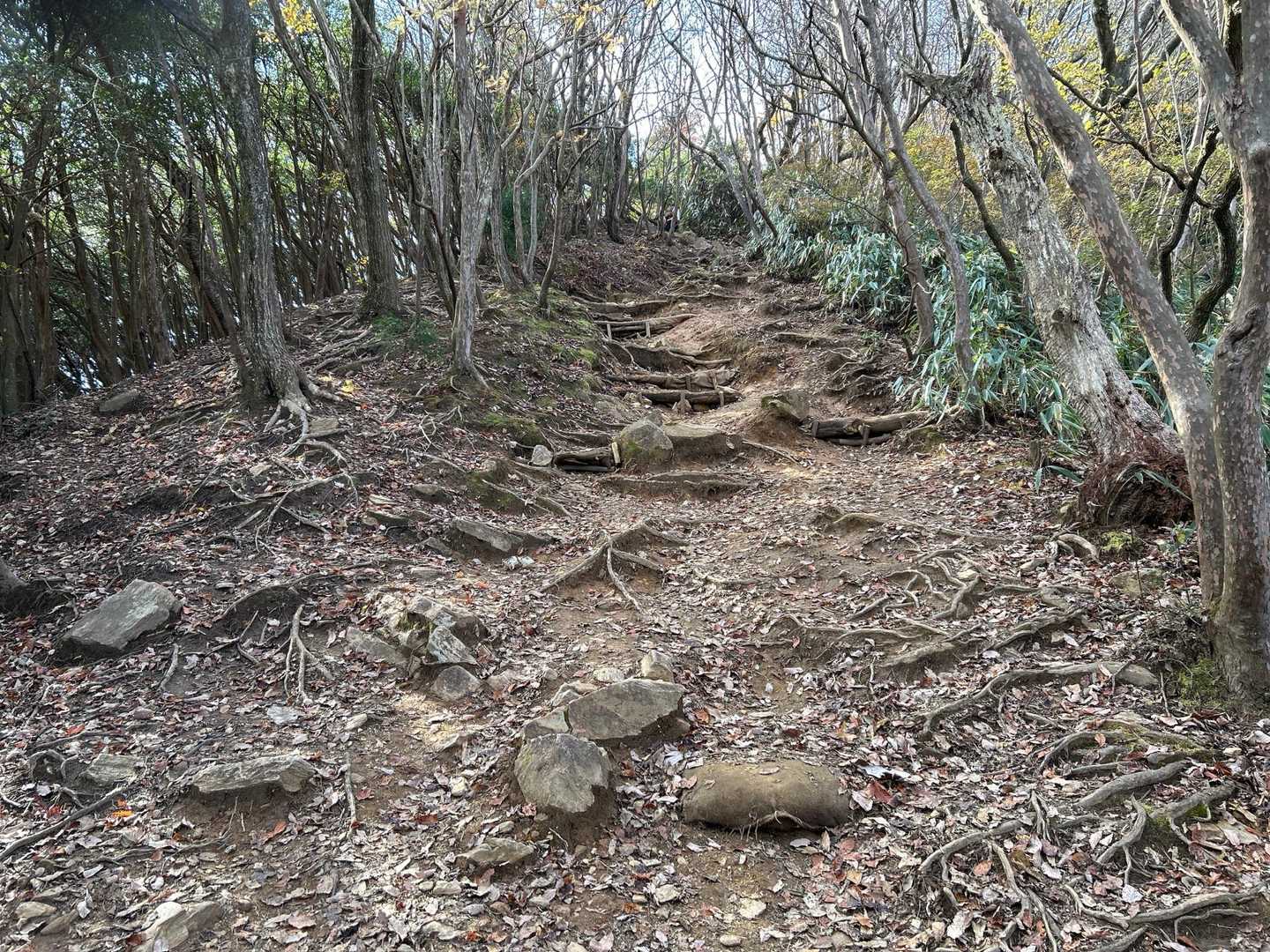 御岩山山頂に向かってラストスパートです。
