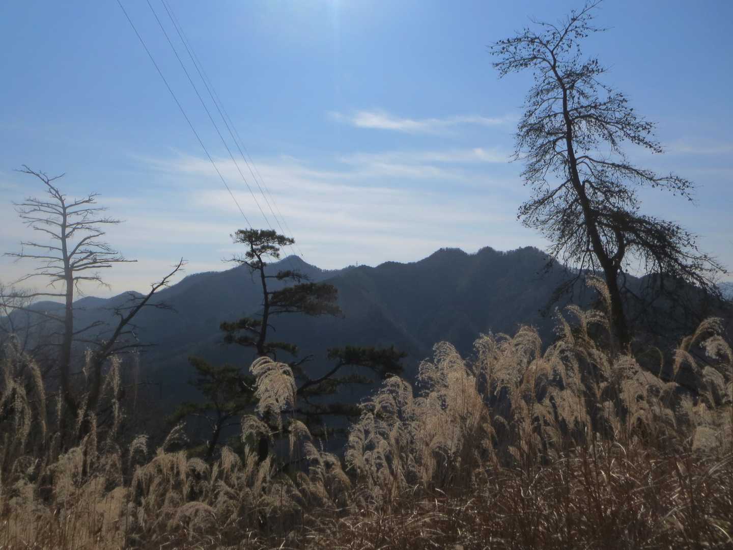 高取山と仏果山👀