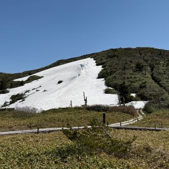 地蔵岳を見る
雪渓大きいので、そちらの道は歩けない💦